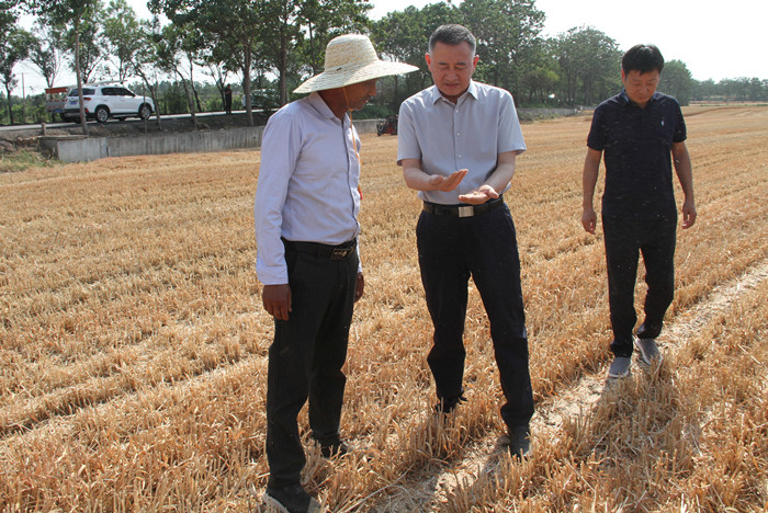 市長(zhǎng)田會(huì)卿調(diào)研“三夏”生產(chǎn)和防汛工作